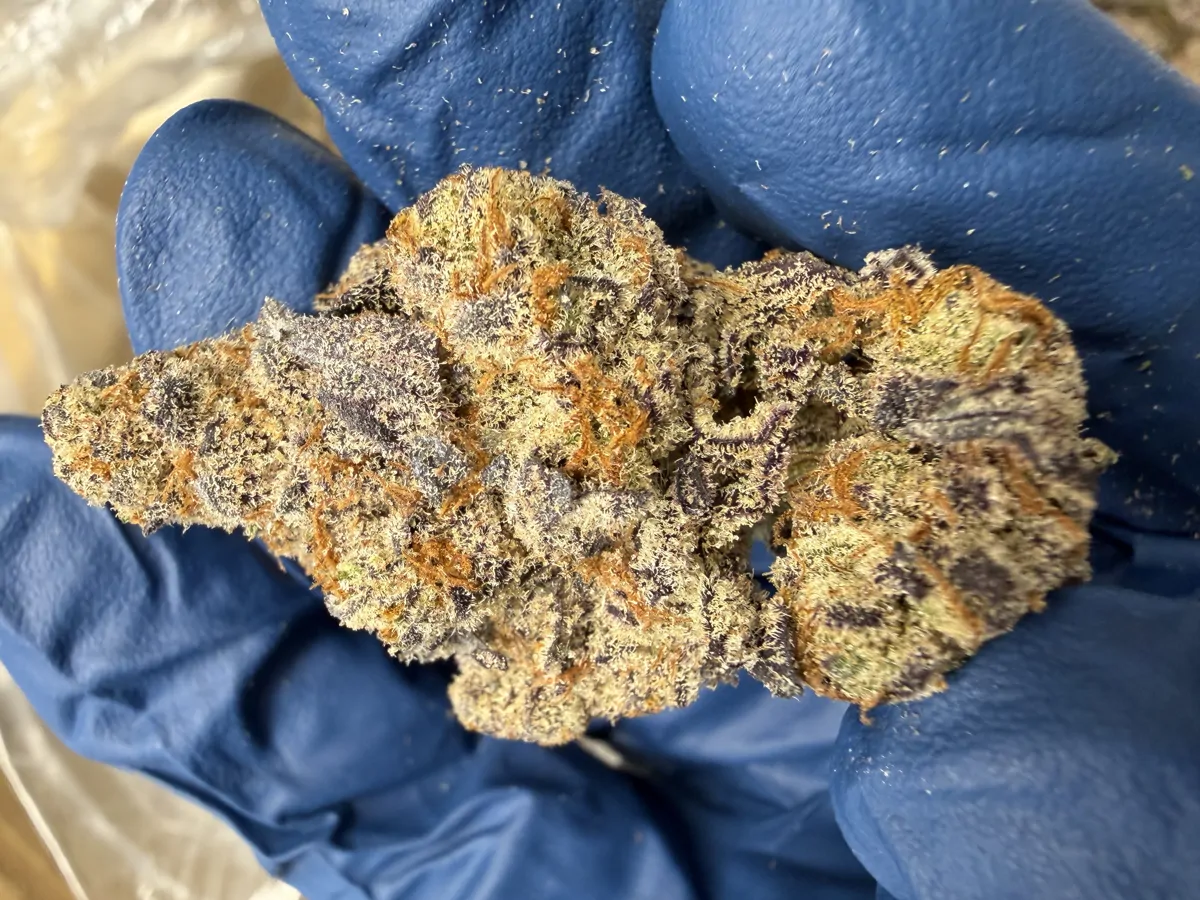 Glitter Bomb Flower